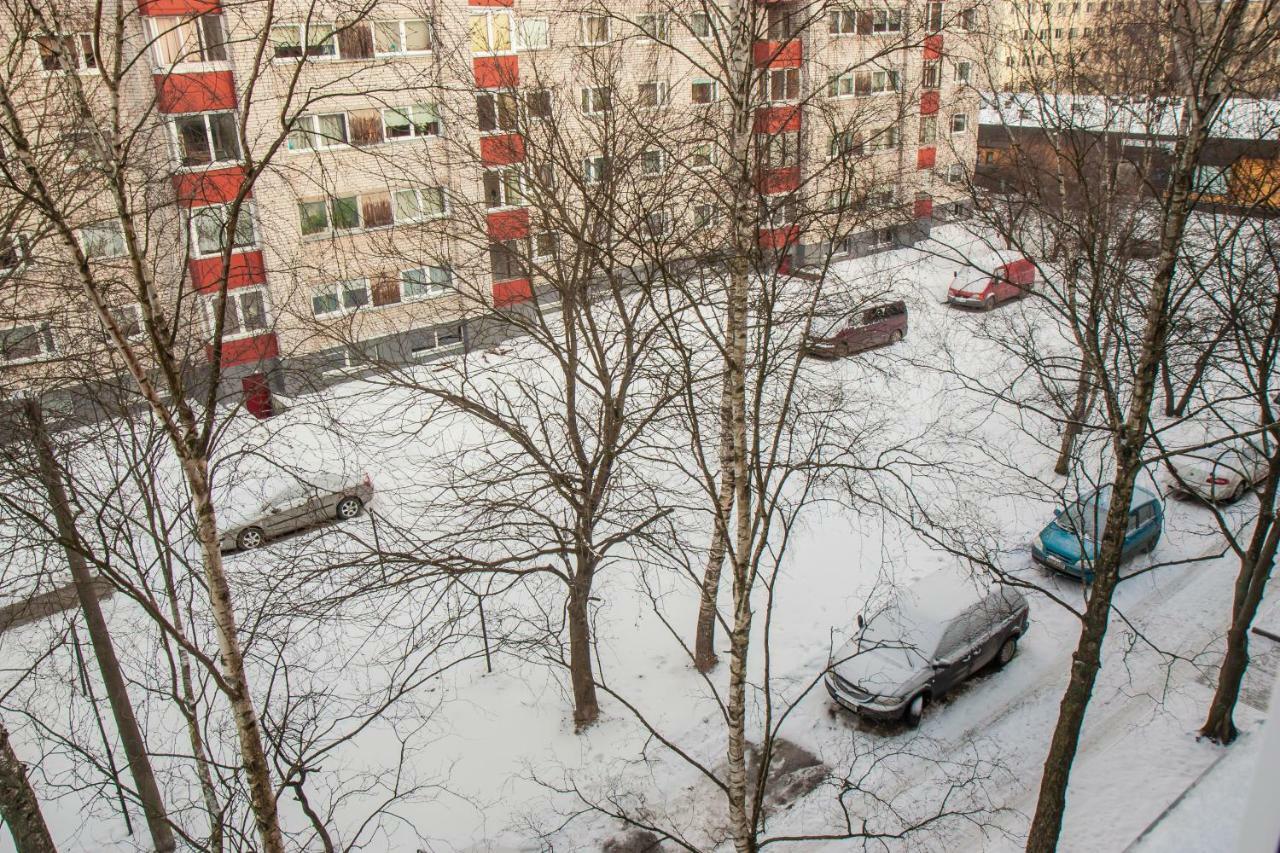 Apartment Pirni *
